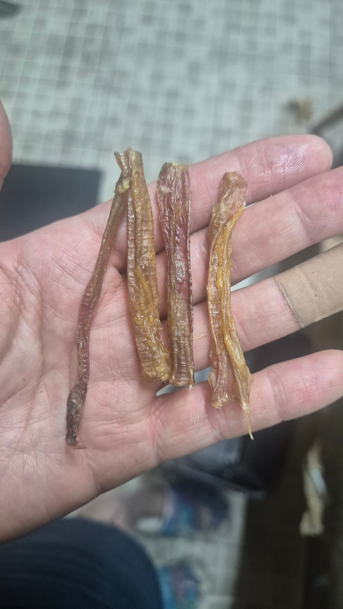 Traqueas pollo