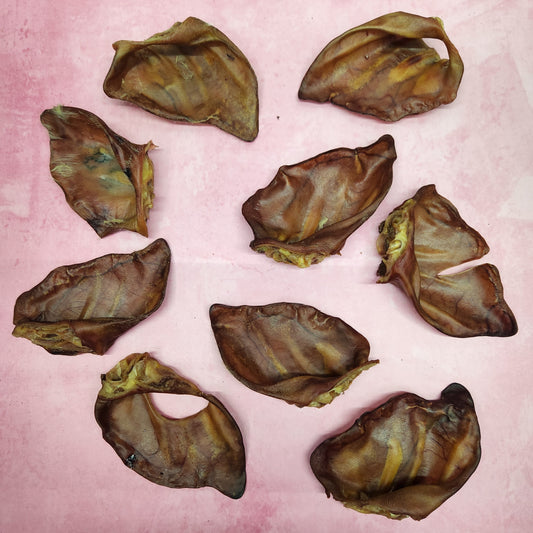 Oreja de cerdo