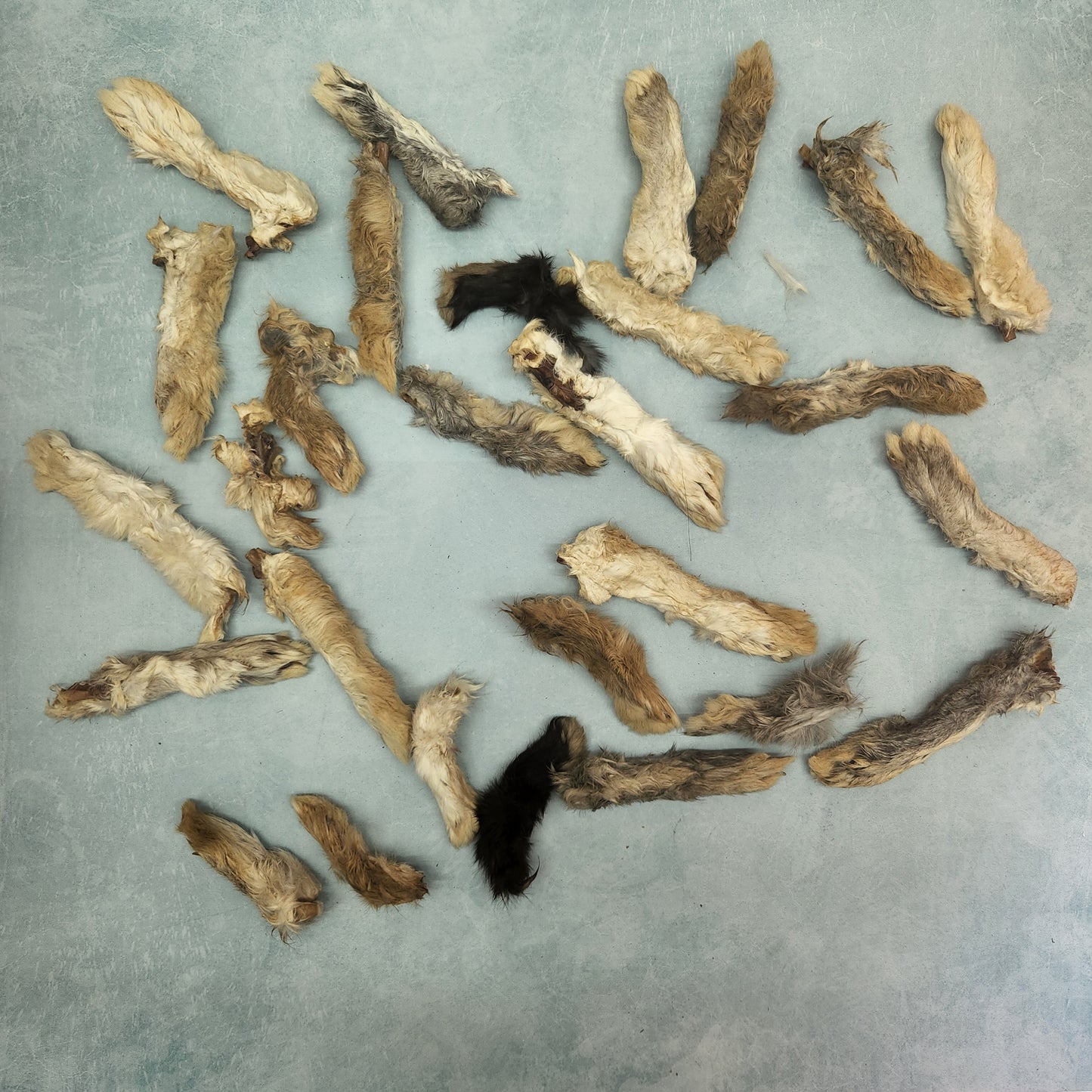Patas de conejo