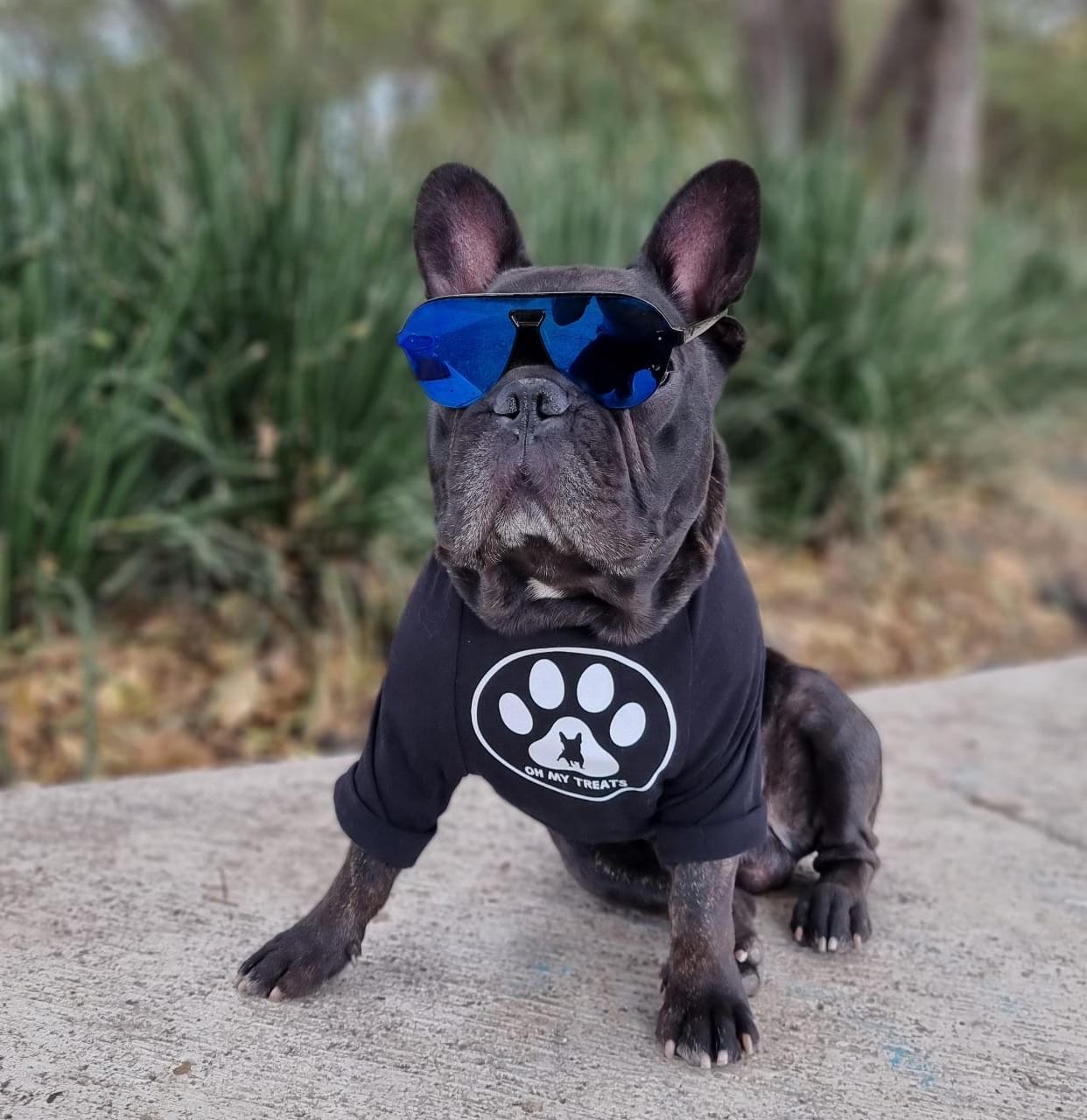 Playeras Oh my treats by Major Doggie