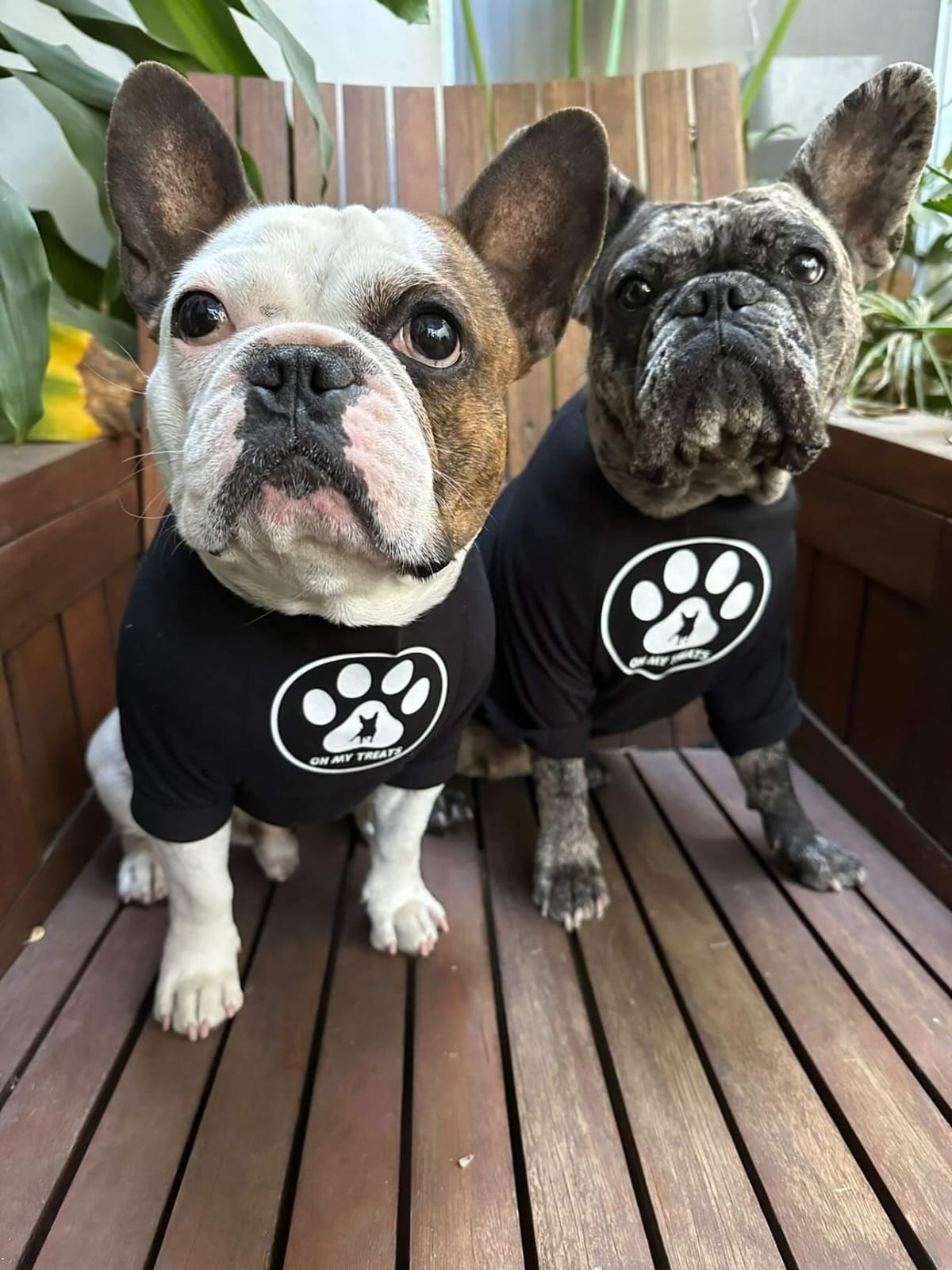 Playeras Oh my treats by Major Doggie