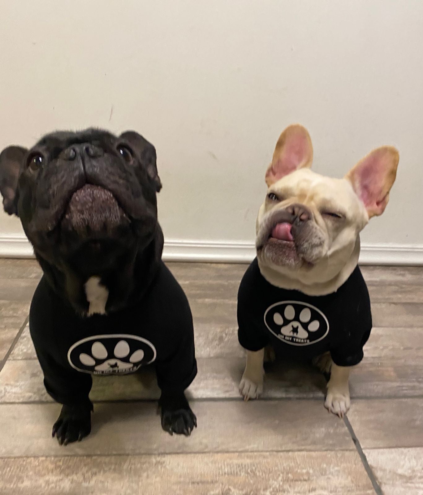 Playeras Oh my treats by Major Doggie