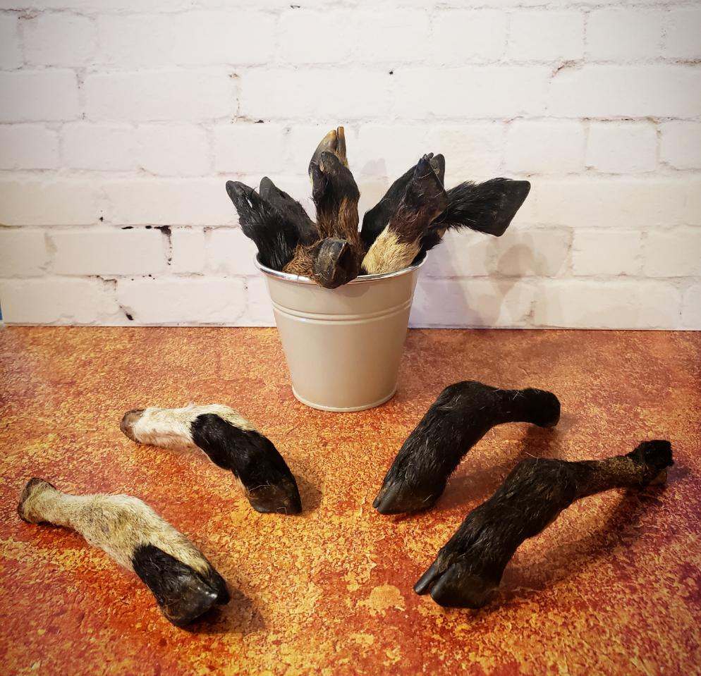 Patas cabrito